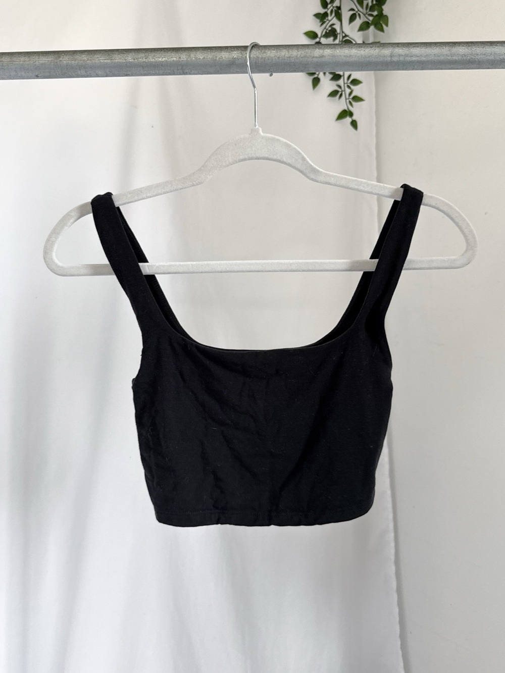 Wilfred free tank